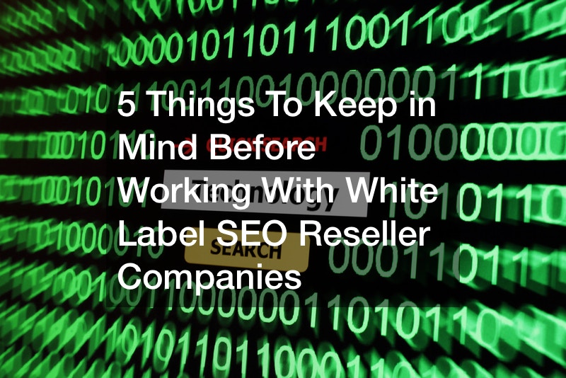 5 Things To Keep in Mind Before Working With White Label SEO Reseller Companies